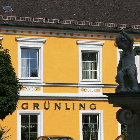 Gasthof Gruenling Wallsee Buitenkant foto