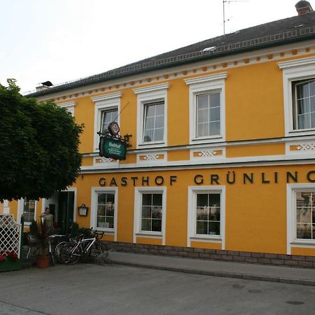 Gasthof Gruenling Wallsee Buitenkant foto